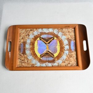 Dienblad met echte vlindervleugels - Afbeelding 2